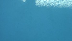 9713DSC01389.JPG