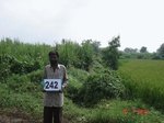 71970242c-irrigated-supplemental-groundwater-mixedcrop-sugarcane-dominant-rice-doublecrop.jpg