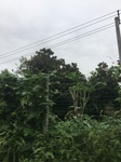 2017-09-10_20-40-48_37404D4C-A24B-425A-A77E-12829B91CF6E.jpg
