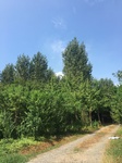 2017-09-12_13-50-19_95783C46-A84B-4C09-A74A-D37D1B7BA262.jpg