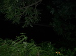 550111052008(95).JPG