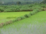 2012-09-07_10-07-09_CIMG6658.JPG