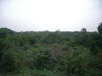 4076RIMG0381.JPG