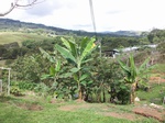5507100_0874.JPG