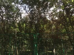 2017-09-12_11-11-32_9F386549-BFE2-497B-8022-F67CB68F9C4A.jpg