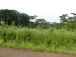 19859P1010709.JPG