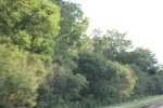2022-06-12_15-25-20_89D879DF-9CB9-4DAC-AD5A-8231A2908BE3.jpeg