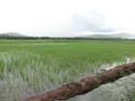 2012-09-07_10-16-16_CIMG6688.JPG