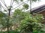 2391R0015321_tag.jpg