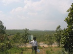 7780gt028a-shrubland-short.jpg