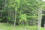2018-04-14_14-51-50_2017-06-27 01.32.19.jpg