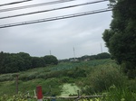 2017-09-12_10-47-10_4774BED1-1C61-41F1-B97B-811DB0D7D034.jpg
