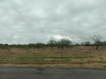 35812DSC02576.JPG