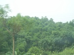 2012-09-08_18-23-36_RIMG0040.JPG
