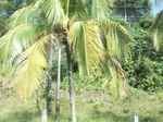 5637100_1073.JPG