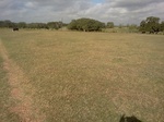 2012-09-03_20-32-43_IMG123.jpeg
