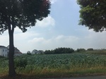 2017-09-12_13-31-04_D2A9EA45-A4EE-4658-B830-90C53713BA73.jpg