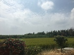 2017-09-12_12-42-51_6D627572-9EBE-47F2-8AC2-6CCDFE37C72E.jpg