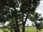 2017-09-12_11-06-03_419DA575-AEF1-4D30-A414-5F292C159D7C.jpg