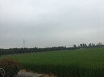 2017-09-10_07-08-38_DB7B9EAA-62A9-4BDB-AA51-925BDCC014EE.jpg