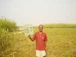 6750gt187-cropland-1.jpg