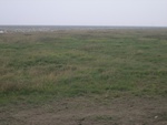 4563RIMG0016.JPG