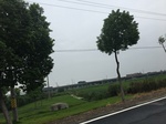 2017-09-10_08-37-17_936D7F40-B062-41E3-9134-E9CFE936811B.jpg