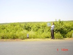 6509gt034-shrubland-1.jpg