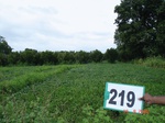 127820219a-rainfed-agriculture-soyabean.gif