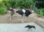 2012-10-17_20-58-42_431.JPG