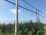 2017-09-12_14-04-06_F5255D8E-D90D-4EEE-88A6-A483E13B335D.jpg