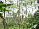 15259IMG_4081.JPG
