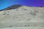 2022-01-21_16-12-45_4E8A4484.JPG