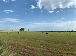 2020-08-07_10-17-36_2020-8-7-10-11-20.jpg