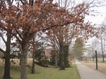 9774IMG_0051.JPG