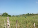 5804100_1506.JPG