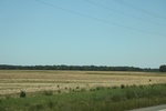 2022-06-12_15-03-51_6A234591-3060-47F6-8B2C-EE304D0903B2.jpeg
