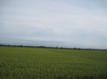 15565IMG_4635.JPG
