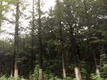 2017-09-10_20-39-16_E80FF50A-A09E-4D5C-8726-BBD2A70D0956.jpg