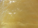 2012-09-21_14-26-47_CIMG0044.JPG
