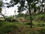 2012-09-26_20-48-15_CIMG1097.JPG