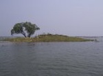 1551R0015225_small.jpg