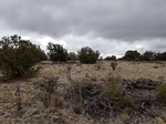 2017-02-19_18-54-40_20170219_102648.jpg