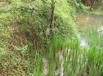 15150IMG_3970.JPG