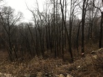 2018-03-30_06-56-31_14A5904E-48B2-477F-B627-F4C733CDB234.jpg