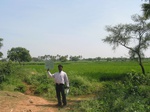 7802gt039b-irrigated-rice-thungabhadra.jpg