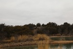 2018-04-30_12-29-07_2017-12-28 12.31.33.jpg