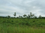 20406P1020263.JPG