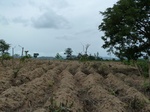 18597P1000434.JPG