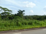 19846P1010696.JPG